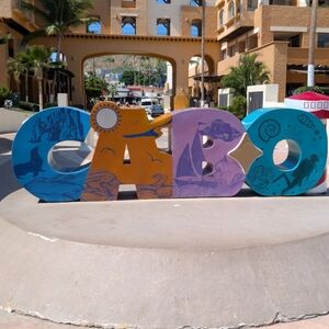 La Vida Mas Fina Cabo Corona Crop